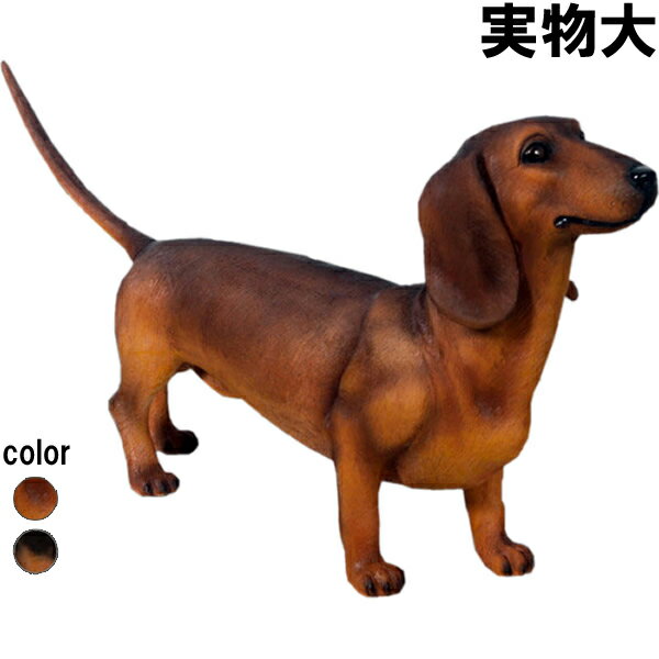ダックスフンド(ブラウン) Dachshund 強化プラスチック (FRP) アートオブジェ 犬 置物 玄関 外 リアル 実物大 ガーデニング 映える 動物 像...