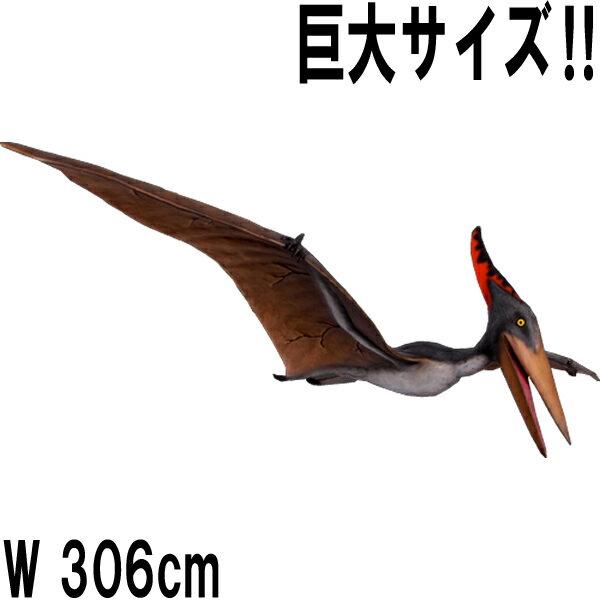 FRPε֥ ץƥΥɥ3m Pteranodon 10ft. 3m6cm ꥢ ε 򰡵 礭 ɸ ʪ ڤ ʪ ʪ ...