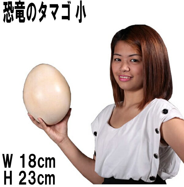 FRP恐竜オブジェ 恐竜(Sauropod)のタマゴ・小 Sauropod Egg 9 リアル 草食恐竜 卵 置物 フィギュア 竜脚下目 標本 博物館 実物大 ...