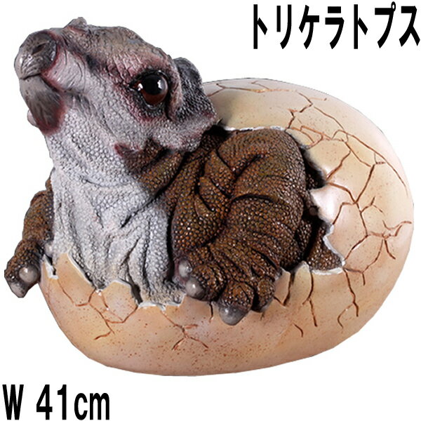 FRP恐竜オブジェ 孵化するトリケラトプス Baby Triceratops Hatching かわいい 置物 リアル 卵 白亜紀 草食恐竜 角竜類 標本 博物...
