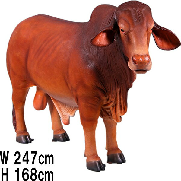 ドラフトマスター雄牛 / Droughtmaster Bull 強化プラスチック(FRP) アートオブジェ 体長約2m47cm 実物大 迫力満点 動物 像 置物...