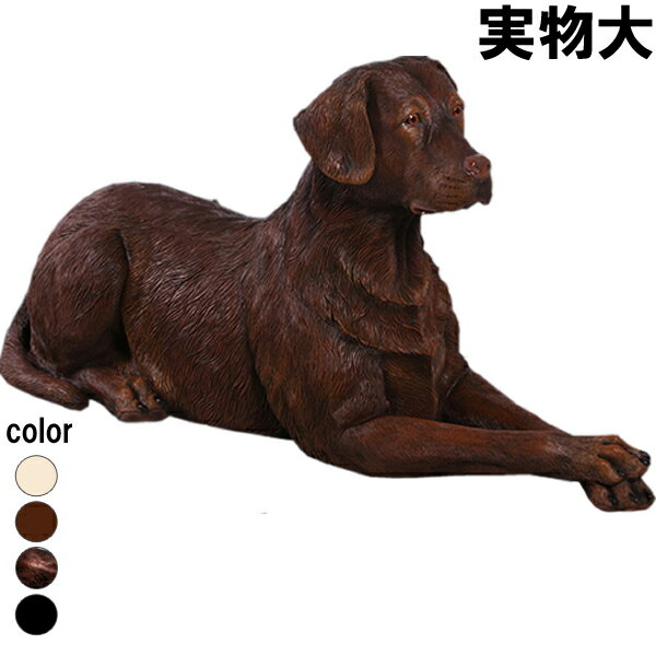 横たわるラブラドール チョコレート Labrador Lying Down 強化プラスチック (FRP) アートオブジェ ガーデニング 犬 置物 庭 玄関 外 ...