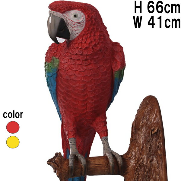  ɳݤѡ å&֥롼 Parrot ץ饹å (FRP) ȥ֥ ꥢ  ʥ ƥꥢ Ļ ʪ ưʪ ...