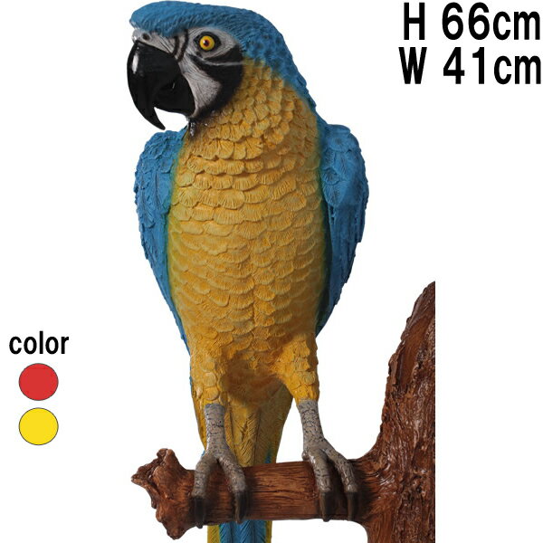オウム (壁掛け用) イエロー&ブルー Parrot 強化プラスチック (FRP) アートオブジェ リアル 鳥 置物 ウォール オーナメント 軽量 インテリア ...