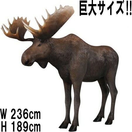 大迫力! ムース Moose 体長約2m36cm 強化プラスチック(FRP) アートオブジェ 実物大 動物 像 ヘラジカ フィギュア 映える アニマル 大型 置...