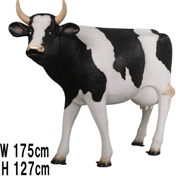 乳牛 127cm Cow 45