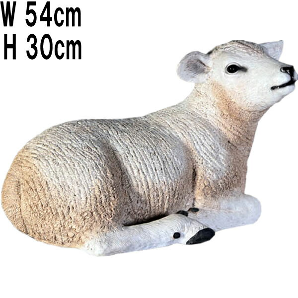 柔和な子ひつじ Texelaar Lamb Resting 強化プラスチック(FRP) アートオブジェ リアル 動物 像 軽量 アニマル フィギュア 置物 軽い...