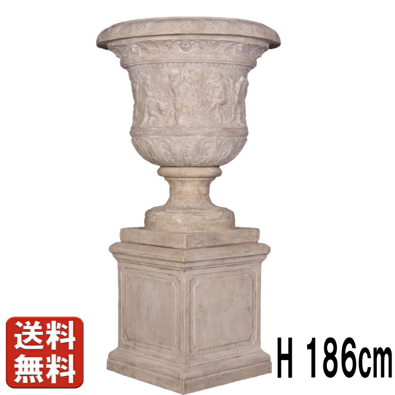 ٥륵 (դ) ޥȡž夲 H186cm  礭 ֥ դ ȭ 緿 ץ󥿡 å׷ ʥ  ...