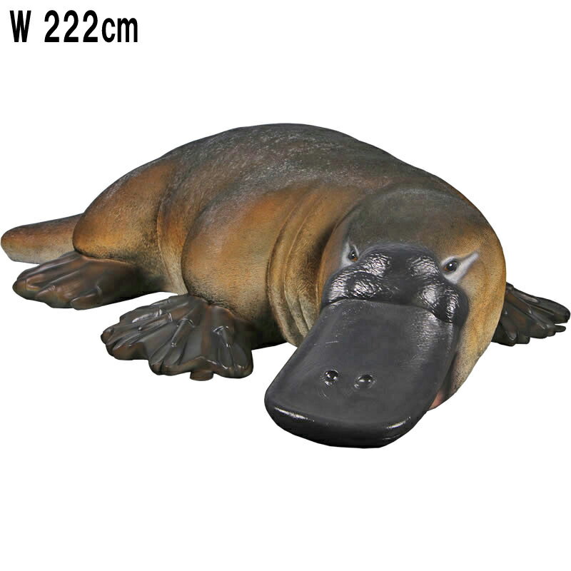 礭ʥΥϥ Platypus ץ饹å (FRP) ȥ֥ ꥢ Ĺ2m22cm ǥ˥ ʥ  礭 ʪ ư...