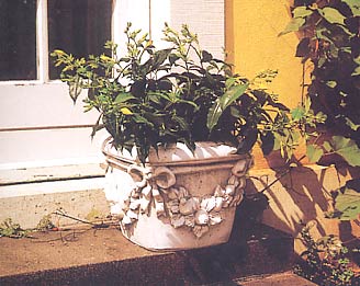 楽天市場】イタリア製(植木鉢・プランター|ガーデニング・農業 楽天市場】イタリア製(植木鉢・プランター|ガーデニング・農業