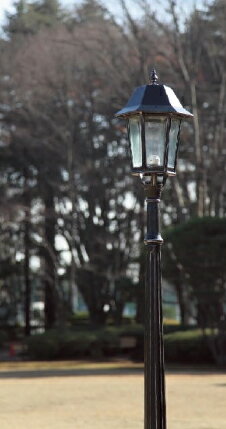 ���� �ʥݥ� 1�������� S-1-2600 �����ǥ�饤�� 1�� �衼���å��� ������ ������� �����ǥ˥� ���� �緿 �礭�� ���� ���� ���� �̲�