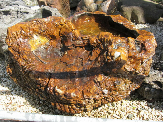 木化石 つくばい 手水鉢 庭石 水鉢 景石 蹲 ...の商品画像