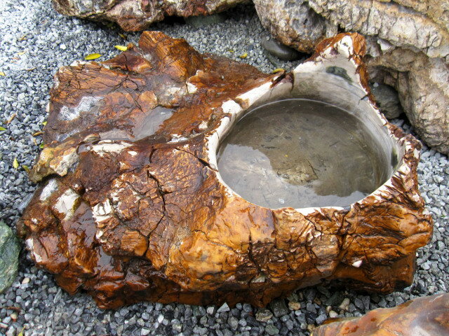 手水鉢 つくばい 木化石 水鉢 溜ま