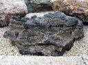 太湖石 （たいこせき） 085 庭石 自然石 銘石 景石 天