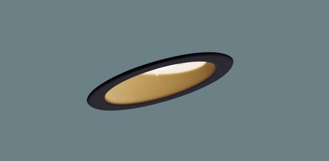ѥʥ˥å(Panasonic) ŷ LED(ŵ忧) ŷѥ饤 å 100 XAD343...