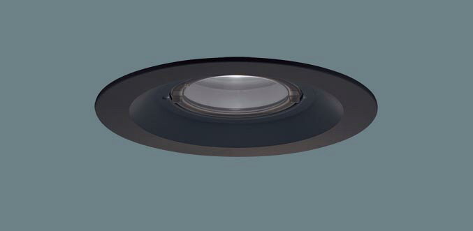 パナソニック(Panasonic) 天井埋込型 LED(昼白色) 軒下用ダウンライト 集光タイプ ...