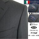 エルメネジルド・ゼニア 【Ermenegildo Zegna エルメネジルド ゼニア〜TROPICAL】【春夏秋】 ベーシックタイプ【A体】【AB体】【BB体】2ボタンシングルスーツ/紺ストライプ/チャコールグレーストライプロゴ入り裏地使い