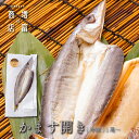 上品な旨み! 増富商店 かます開き (冷凍) 2尾 3尾 4尾 5尾 6尾 7尾 8尾 9尾 10尾 国産 赤かます カマス ひもの 干物 お取り寄せ 開き 無...