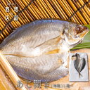 国産 増富商店 あじ開き (冷凍) 2尾 3尾 4尾 5尾 6尾 7尾 8尾 9尾 10尾 国産 アジ ひもの 干物 お取り寄せ 開き 無添加 詰め合わせ 真空...