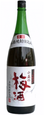 本格芋焼酎仕込　小正　梅酒　1800ml