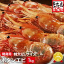 [特大2Lサイズ]最高級ボタンエビ1kg[20-24尾入り]（えび/エビ/海老/ぼたんえび/ボタンエビ/刺身/海鮮丼）ギフト