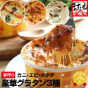 ハウス食品　北海道グラタン＜2皿分＞82g(パスタ42g・ソースミックス40g)×10個