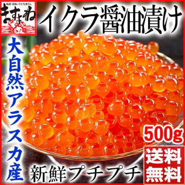 父の日ギフトにも！ポイント最大12倍！[北海道加工]新鮮なアラスカ産いくら醤油漬け500g（イクラ丼約6杯分）[チャム子]【送料無料】いくら丼たっぷり6杯分♪[いくら/イクラ/いくら醤油漬け]父の日 ギフト グルメ 熨斗選択可