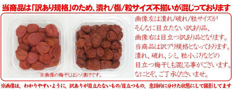 [お徳用]つぶれ福井梅干し1kg入(500g×2)[送料無料][ワケありわけあり]【しそ・うす塩・はちみつ3種類からお選びください】※傷あり・サイズ不揃いあり[梅干し/うめぼし/ウメボシ][北陸/福井]