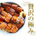 母の日 父の日 うなぎ ギフト 新仔うなぎ蒲焼き2尾入★送料無料！2個で500円OFFクーポン有[にほんうなぎ 長焼き 台湾産 140g前後2尾/2-3人前]お歳暮 御中元 敬老の日 土用の丑の日 お取り寄せグルメ ウナギ 鰻 食べ物 食品 3