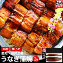 母の日 父の日 うなぎ ギフト 国産特大うなぎ蒲焼き2尾セット 送料無料!うなぎ蒲焼き