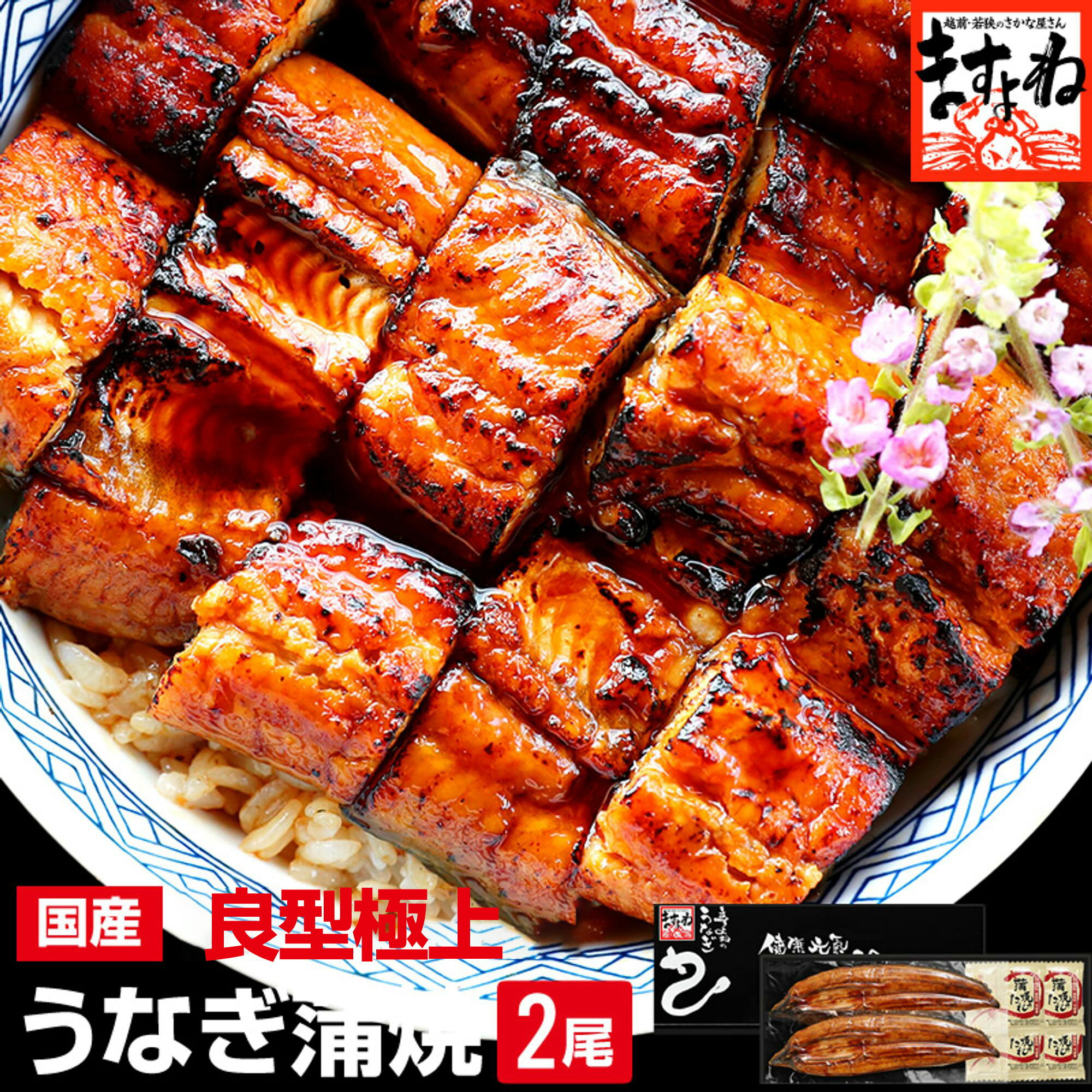 蒲焼き 完売前に！父の日 早割SALE！国産うなぎ 国産うなぎ蒲焼き2尾セット[140g×2尾]（賞味期限6月末）[2-3人前]［送料無料/国産うなぎ/うなぎ/ウナギ/鰻]父の日 プレゼント お歳暮 土用の丑の日 ギフト お中元 うなぎ 蒲焼き 国内産 送料無料 ギフト