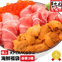 賞味期限4月末まで見切りSALE★4999円送料無料！【超豪華3品】本まぐろ大とろ・北海道産いくら醤油漬け・無添加生うに 豪華海鮮グルメセ..