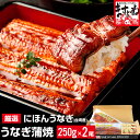 お中元 父の日 ギフト【ニホンウナギ 超特大2尾 500g超...
