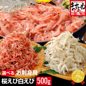 【お刺身用】生桜えび500g or 生白えび500gが選べる！(台湾産)[送料無料]【さくらえび/サクラエビ/白エビ/しろえび】