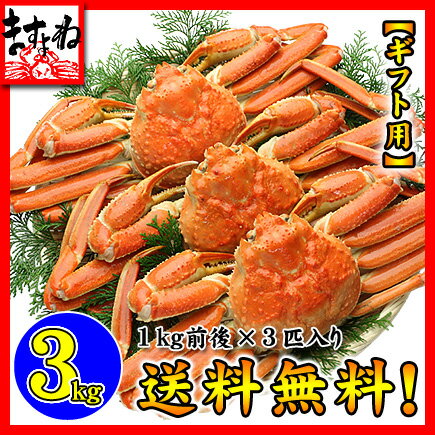 超特大のカニ が丸ごと3匹！ カニ 身はもちろん、かに味噌もたっぷり！かに食べ放題あす楽便で即日発送OK！】【かに】【カニ】【蟹】【ずわい】【ズワイ】カニ食べ放題！【徳用】ボイルずわいカニ /姿3kg前後（3-6人前）[送料料]【あす楽対応】【かに】【カニ】【蟹】【ずわい】【ズワイ】【smtb-t】【楽ギフ_のし】