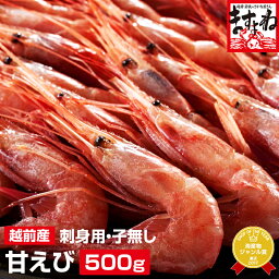 あまエビ ギフト グルメ大賞受賞！子なし越前甘えび500g(無添加・無着色)(小サイズ)2-4人前[送料無料]【本場越前磯の香りをご家庭に♪】[訳あり/えび/エビ/海老/甘エビ/お刺身/海鮮丼/あまえび/アマエビ]お歳暮 ギフト お取り寄せグルメ プレゼント