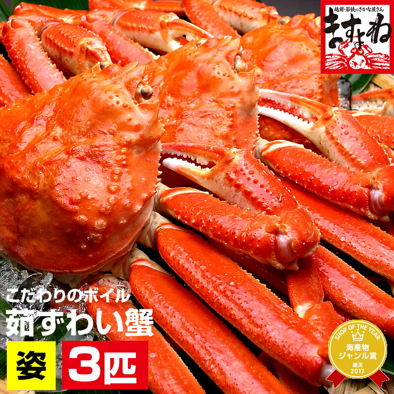 送料無料！【特大1尾750g超サイズが3尾セット！】特大茹でずわい蟹/姿3尾入り【送料無料】(かに/カニ/蟹/ずわい/ズワイ)