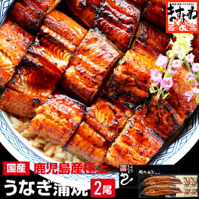 国産うなぎ蒲焼き蒲焼き2尾 ][2-4人前]［国産うなぎ/ウナギ]コロナ 応援 食品 プレゼント