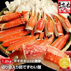 ＼3500円OFFクーポン有／ギフト 大盛り1.2kg 送料無料！ポキポキッっと簡単に殻むき体験！切り目入り茹でずわい蟹大盛り1.2kg(600g×2)[ボイル/蟹足][送料無料](かに/カニ/蟹/ずわい/ズワイ/お歳暮/御歳暮)