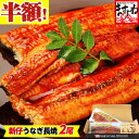 半額50%OFF!新仔(新子)にほんうなぎ長焼き2尾セット★