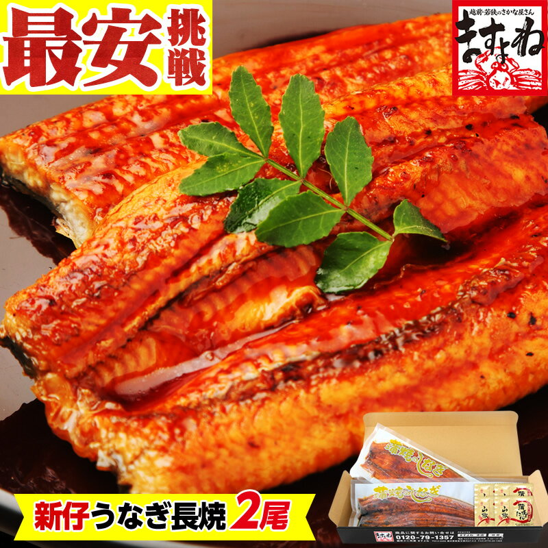 蒲焼き 母の日 父の日 うなぎ ギフト 新仔うなぎ蒲焼き2尾入★送料無料！2個で500円OFFクーポン有[にほんうなぎ 長焼き 台湾産 140g前後2尾/2-3人前]お歳暮 御中元 敬老の日 土用の丑の日 お取り寄せグルメ ウナギ 鰻 食べ物 食品