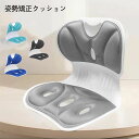 【期間限定!3260円→2760円】座布団 姿勢矯正 骨盤サポート チェア 骨盤から腰をサポート 腰クッション 腰枕 ランバーサポート 背もたれクッション 人間...