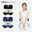 【期間限定!5380円→4880円】座布団 姿勢矯正 骨盤サポート チェア 骨盤から腰をサポート 腰クッション 腰枕 ランバーサポート 背もたれクッション 人間...