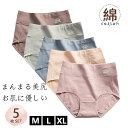 【期間限定!3680円→2580円】敏感肌可 ショーツ レディース 5枚セット 深め 綿 柔らか 締め付けない 吸汗 通気 お腹すっぽり 美尻 女性 下着 パン...