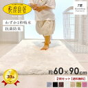 【同色2枚セット】 乾度良好 Dナチュレ バスマット 約60×90cm 吸水 速乾 抗菌 防臭 業務用 洗える バス マット 浴室マット お風呂マット 大判 大きい 衛生的 ふわふわ 厚手 シンプル おしゃれ 北欧 かわいい 滑り止め 滑らない 乾きやすい プレゼント 玄関マット