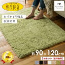 【同色2枚セット】 乾度良好 Dナチュレ バスマット 約90×120cm 吸水 速乾 抗菌 防臭 90cm 90 120 業務用 洗える バス マット 浴室マット お風呂マット 大判 大きい ふわふわ シンプル おしゃれ 北欧 かわいい 滑り止め 滑らない 乾きやすい プレゼント 玄関マット