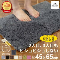 乾度良好 Dナチュレ バスマット 約45×65cm 吸水 速乾 抗菌 防臭 バス マット お風...