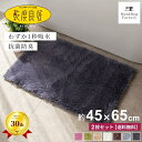 【同色2枚セット】 乾度良好 Dナチュレ バスマット 約45×65cm 吸水 速乾 抗菌 防臭 バス マット お風呂マット 玄関マット ふかふか 厚手 無地 洗...