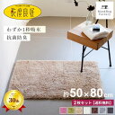 【同色2枚セット】 乾度良好 Dナチュレ バスマット 約50×80cm 吸水 速乾 抗菌 防臭 業務用 洗える バス マット 浴室マット お風呂マット 大判 大...