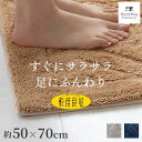 乾度良好 リッカ バスマット 約50×70cm 吸水 速乾 抗菌 防臭 洗える バス マット 浴室マット お風呂 足ふきマット 快適 ふわふわ サラサラ シンプル おしゃれ 北欧 かわいい オカ 玄関マット 大判